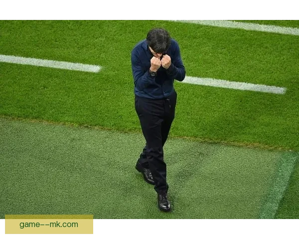 勒夫欧洲杯谢幕正式告别德国队执教生涯震撼球坛