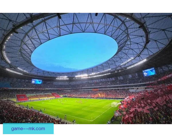 成都蓉城官宣凤凰山体育公园专业足球场完成草坪全面升级