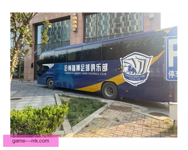 沧州雄狮奥斯卡归化进程停滞 专家分析原因及未来可能发展 沧州雄狮奥斯卡归化进程停滞 专家分析原因及未来可能发展