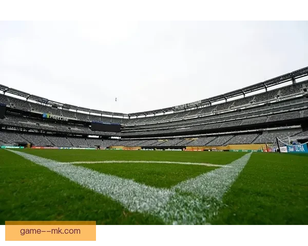 2026世界杯决赛场纽约新泽西体育场草坪改造以符合FIFA标准
